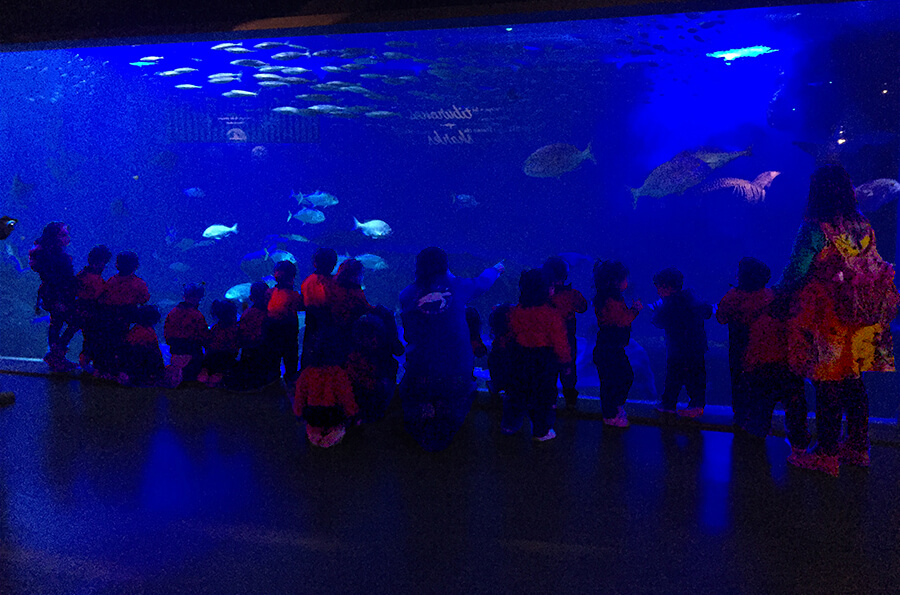 Visita al acuario de los alumnos de una escuela infantil